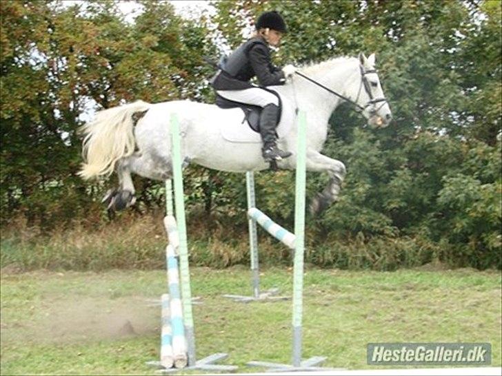 DSP Madeleine (Maddy) <3 ( Solgt) :( billede 7