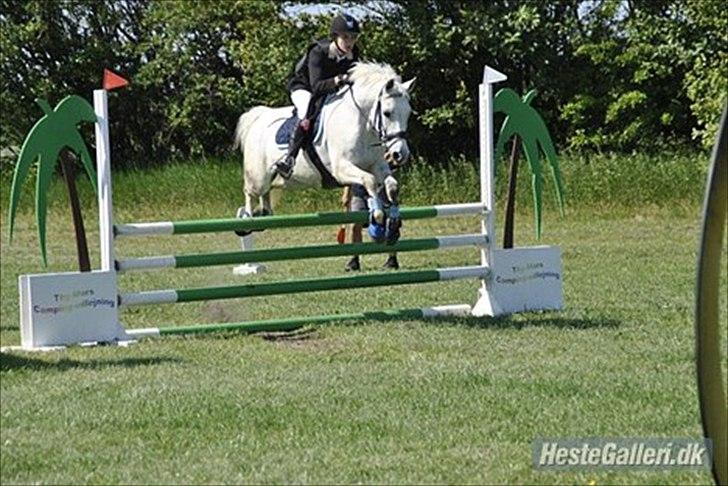 DSP Madeleine (Maddy) <3 ( Solgt) :( billede 9