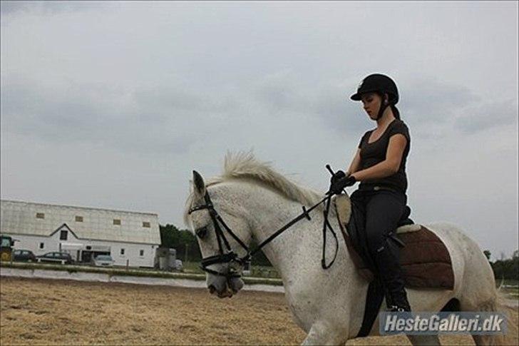 DSP Madeleine (Maddy) <3 ( Solgt) :( billede 10