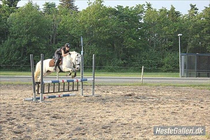 DSP Madeleine (Maddy) <3 ( Solgt) :( billede 11