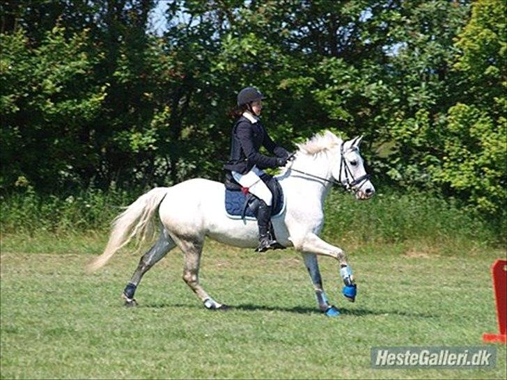 DSP Madeleine (Maddy) <3 ( Solgt) :( billede 12