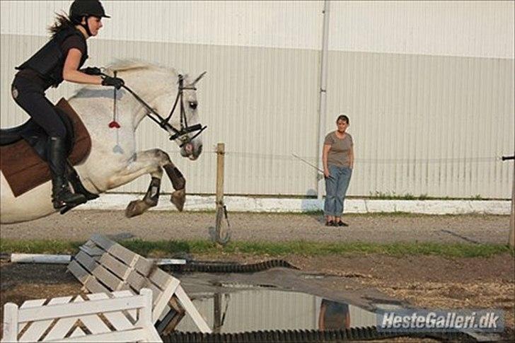 DSP Madeleine (Maddy) <3 ( Solgt) :( billede 13