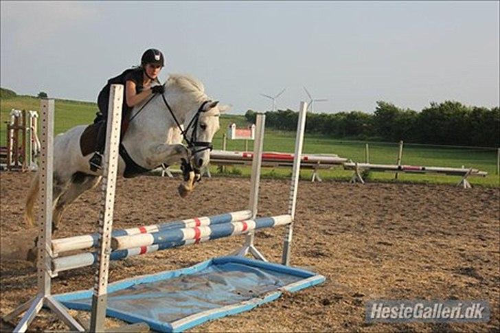 DSP Madeleine (Maddy) <3 ( Solgt) :( billede 14