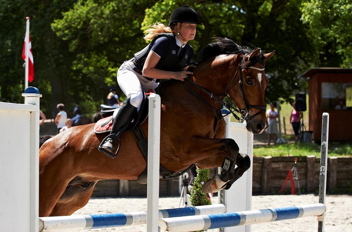 New Forest Bøgelys Rico - Solgt - La i Egene. 4. plads. billede 2