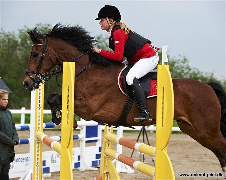 New Forest Bøgelys Rico - Solgt - MB i Hillerød. billede 6