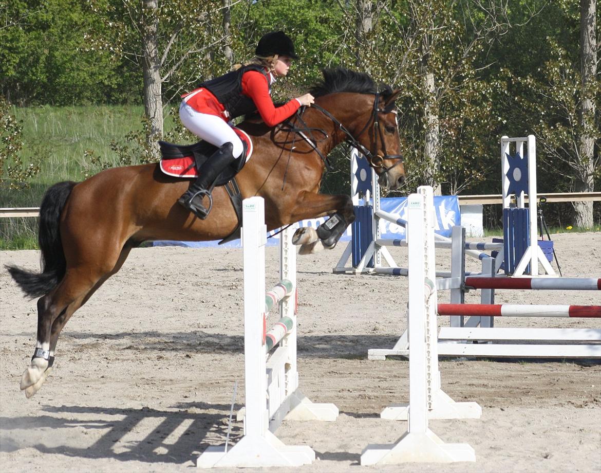 New Forest Bøgelys Rico - Solgt - La på Barthahus. 7. plads. billede 5