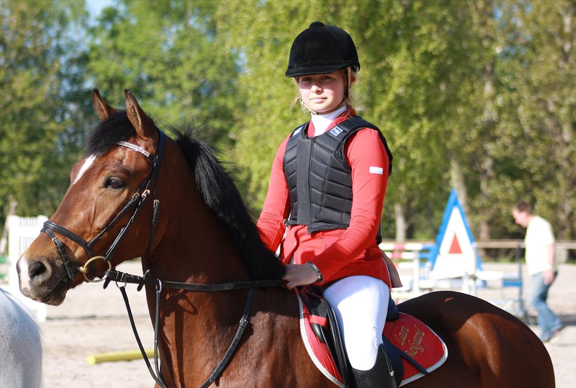 New Forest Bøgelys Rico - Solgt - 7. plads på BAR billede 10