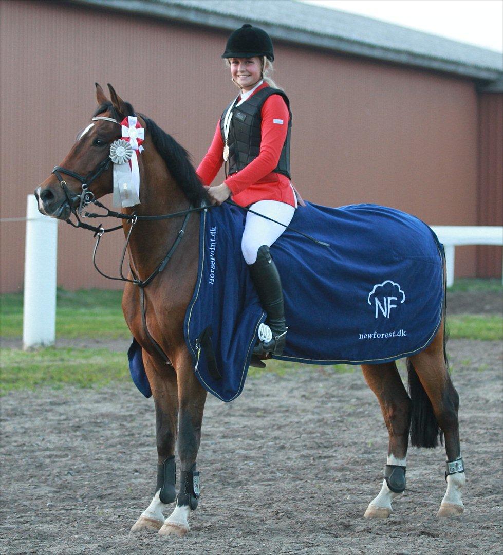 New Forest Bøgelys Rico - Solgt - Rico vinder af soelvmedalje springning i Skive. LA* billede 13