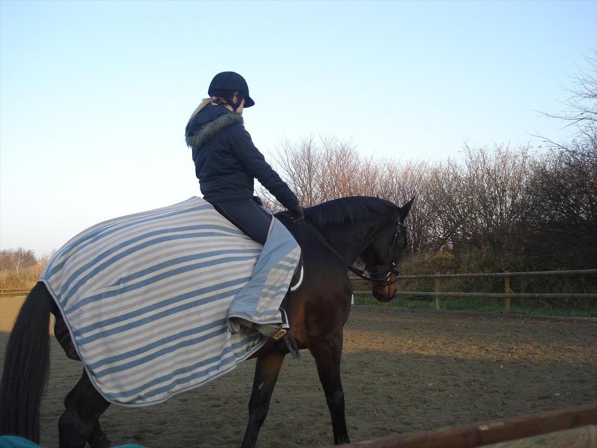 Dansk Varmblod Ti Amo De L (tidligere part) - du er altid en engel i dressur! <3
dressur træning 12/11-11 :-D billede 7