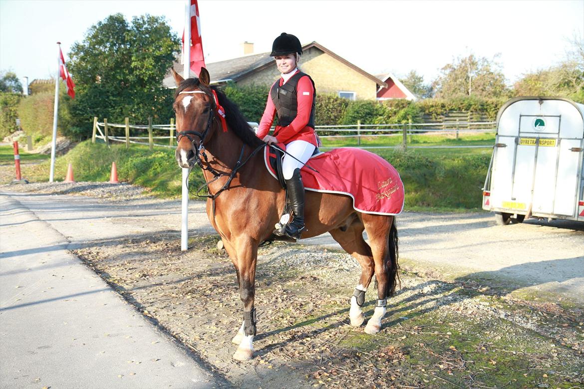 New Forest Bøgelys Rico - Solgt - 1. plads i Lb** i Fakse Rideklub. billede 18