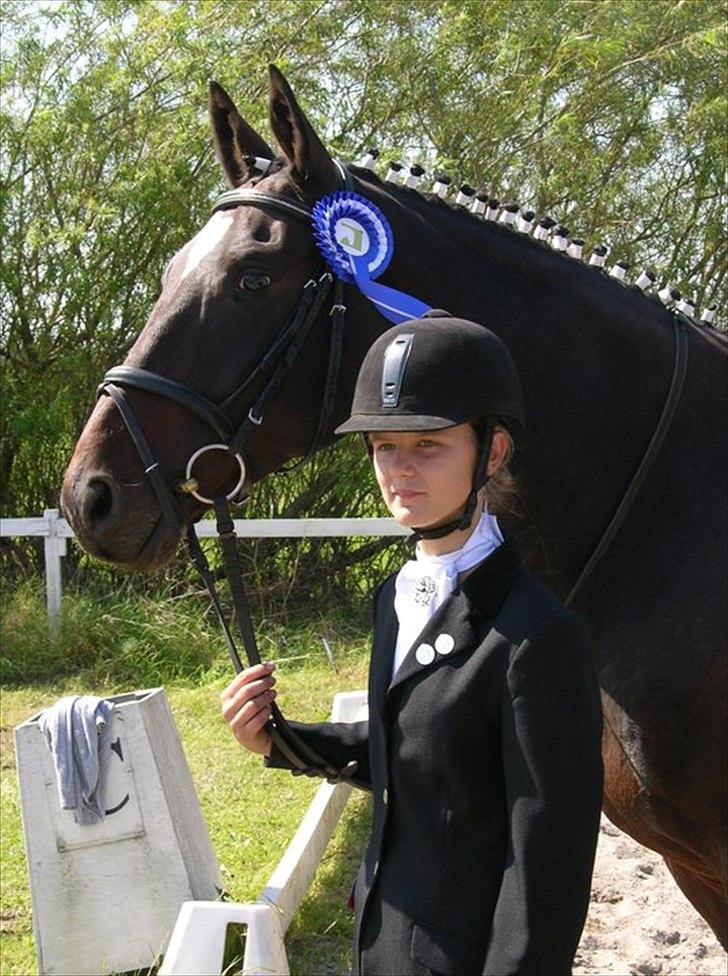 Dansk Varmblod Ti Amo De L (tidligere part) - velkommen til Tiamo's profil!
stævne 2. plads<3 billede 1