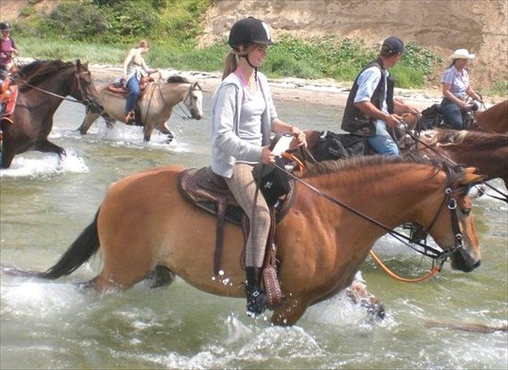 Anden særlig race Juncker. - En af de mest fantastiske ture til stranden. :D billede 7