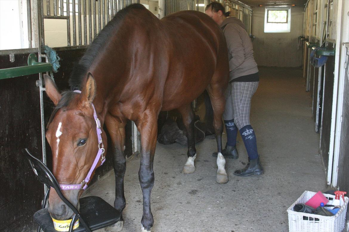 Traver Openminded (Tøsen) - Tøsen elsker sin lakrids ting :D <3 billede 2