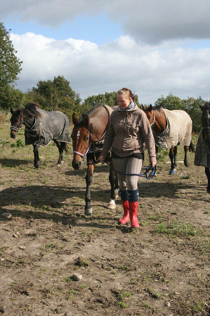Traver Openminded (Tøsen) - Tøsen på vej ind :D billede 7
