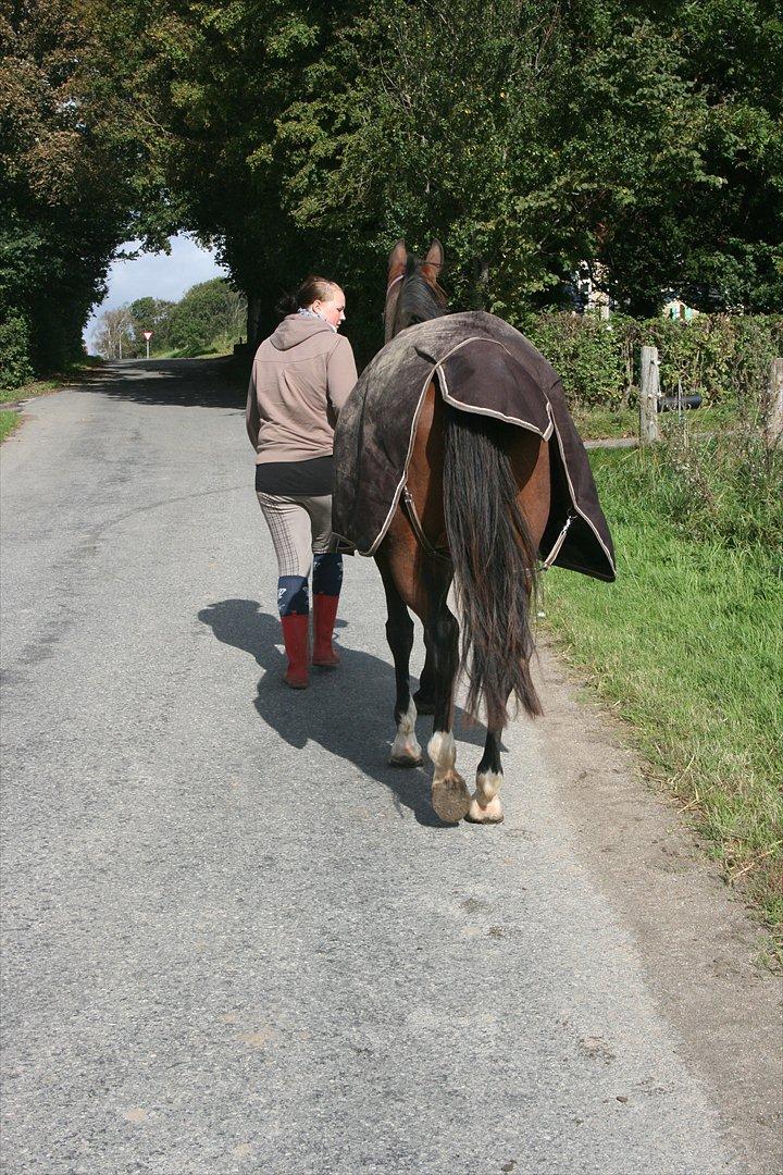 Traver Openminded (Tøsen) - Tak for kigget, håber i nød det. Når enden er god er alting godt <3 billede 20