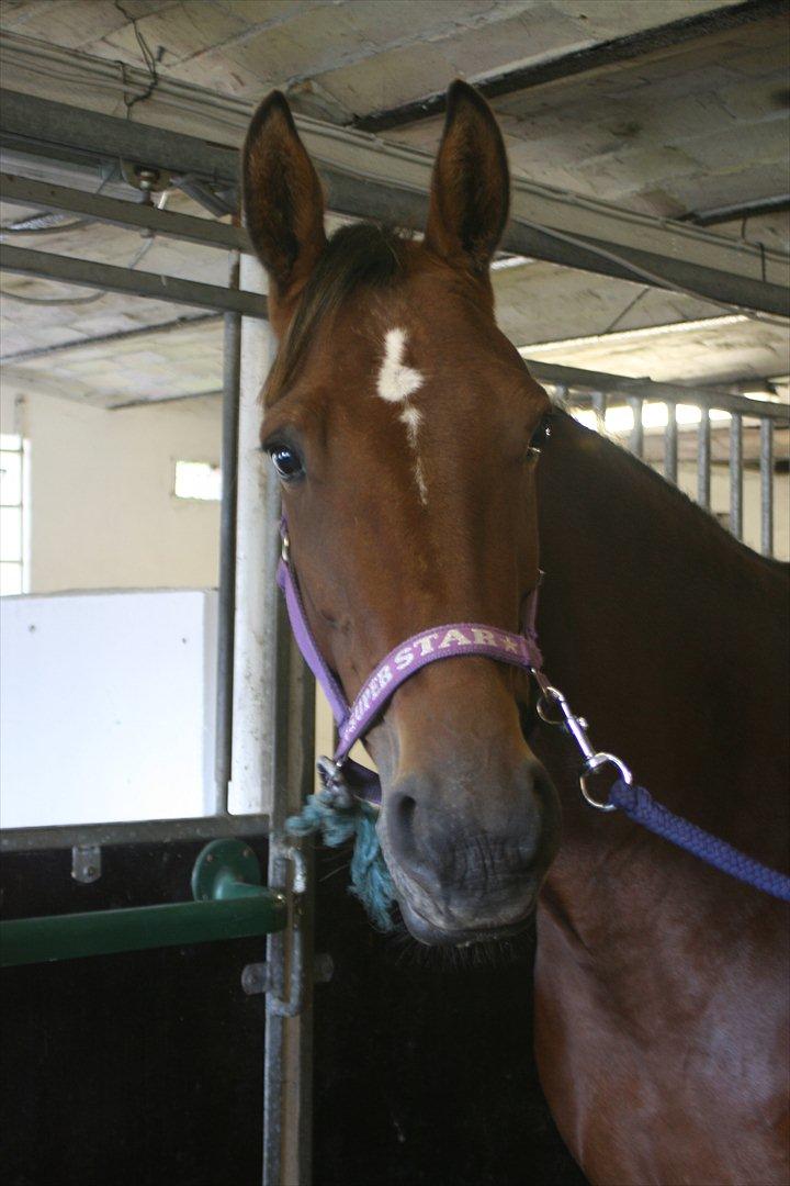 Traver Openminded (Tøsen) - Tøsen den smuksak <3 billede 8