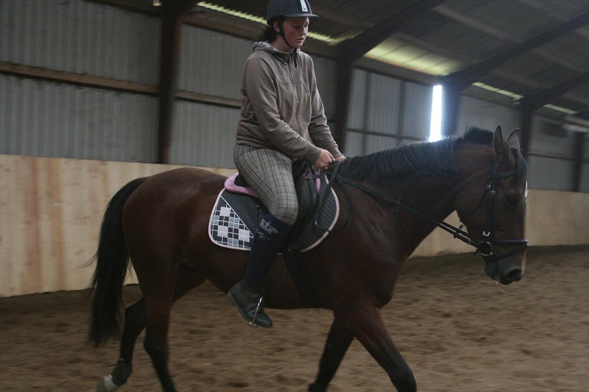 Traver Openminded (Tøsen) - Tøsen og jeg rider, dette er første gang jeg fik hende til bidet <3 billede 10