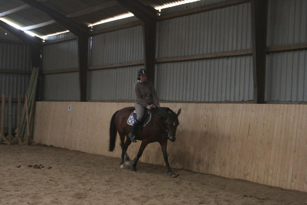 Traver Openminded (Tøsen) - Tøsen og jeg rider, igen første gang hun går til bidet :D billede 11