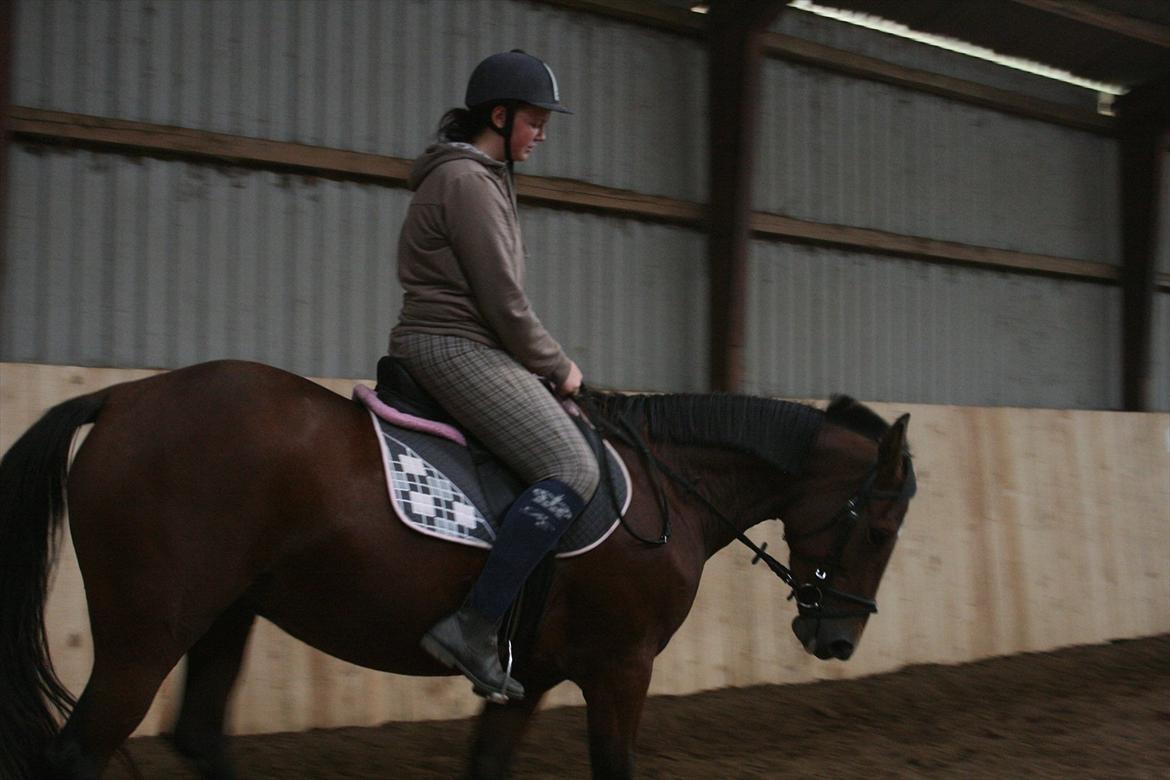 Traver Openminded (Tøsen) - Tøsen og jeg rider igen :D billede 12