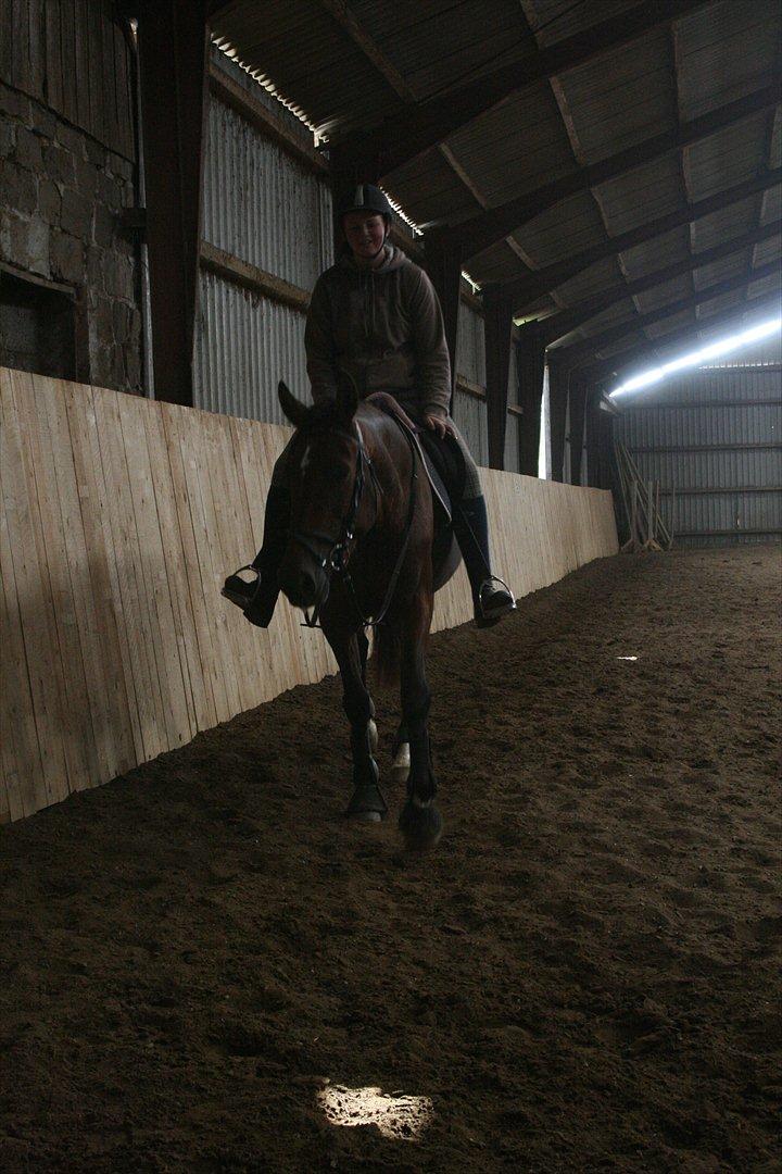 Traver Openminded (Tøsen) - Tøsen og jeg efter en dejlig ridetur <3 billede 13