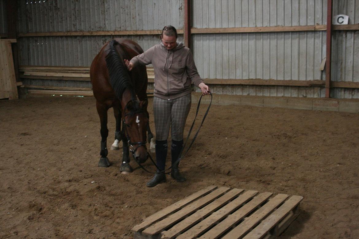 Traver Openminded (Tøsen) - Tøsen og jeg træner lidt at en palle ikke er farlig :D  billede 14