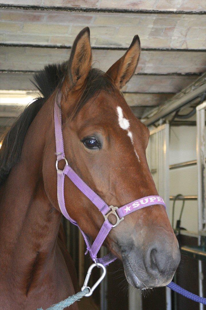 Traver Openminded (Tøsen) - Den dejlige tøsen <3 billede 15