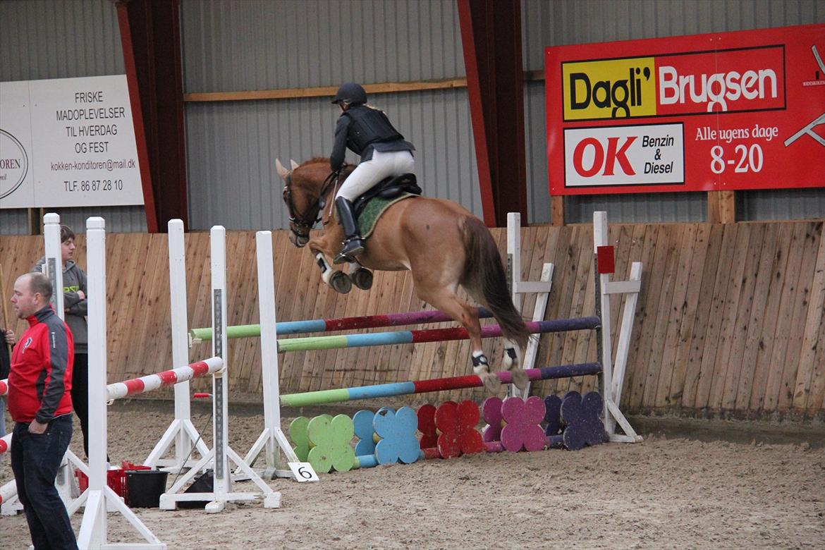 Dansk Varmblod Gørklintgårds Graena [Mors] - Min mor og Graena i LB til Gjern cup :) Foto: Mig billede 16