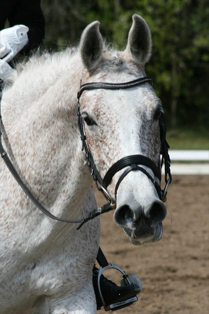 DSP Nasrahn. <3 - Det handler ikke om at finde en man kan leve med, men om at finde en man ikke kan leve uden!:') billede 3