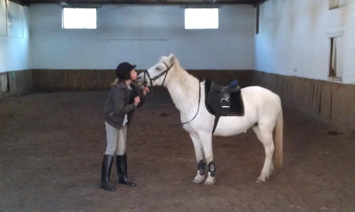 Anden særlig race Mille - Møøøs!!!! Lille mille du er skøn! billede 1