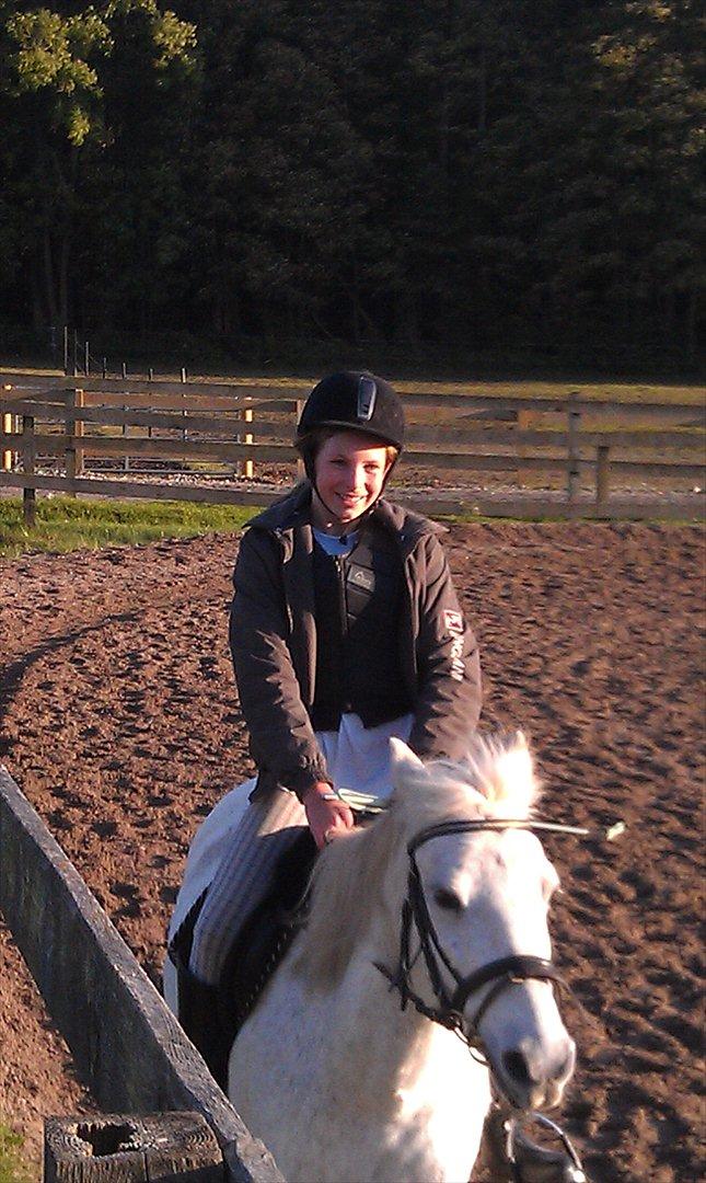 Anden særlig race Mille - I Trav det går, det er Efterår! billede 2