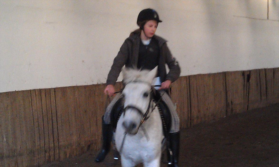 Anden særlig race Mille - Okay, vi vil vist hver vores vej...-.-' billede 6