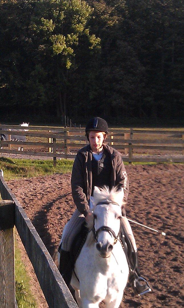 Anden særlig race Mille - Trætte?? en smule :-) billede 9