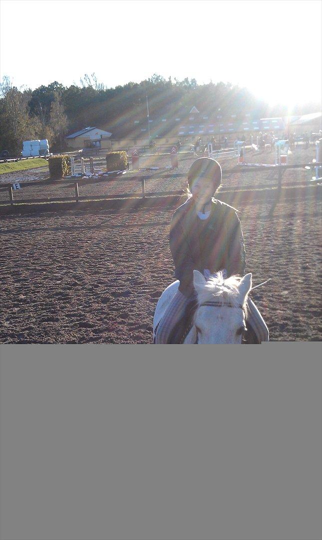 Anden særlig race Mille - BIG SMILE!! billede 10