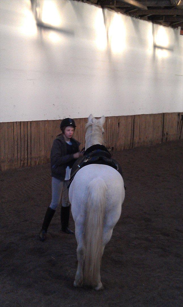 Anden særlig race Mille - Argh dont look at my face! billede 11