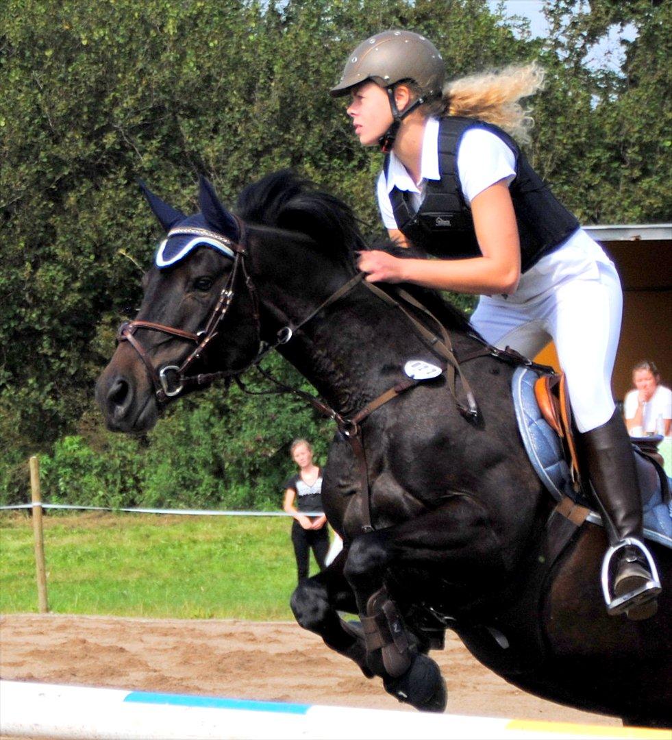 DSP Samara Spring pony - Velkommen til Samaras profil<3 Giv gerne en bedømmelse og en kommentar;) billede 1