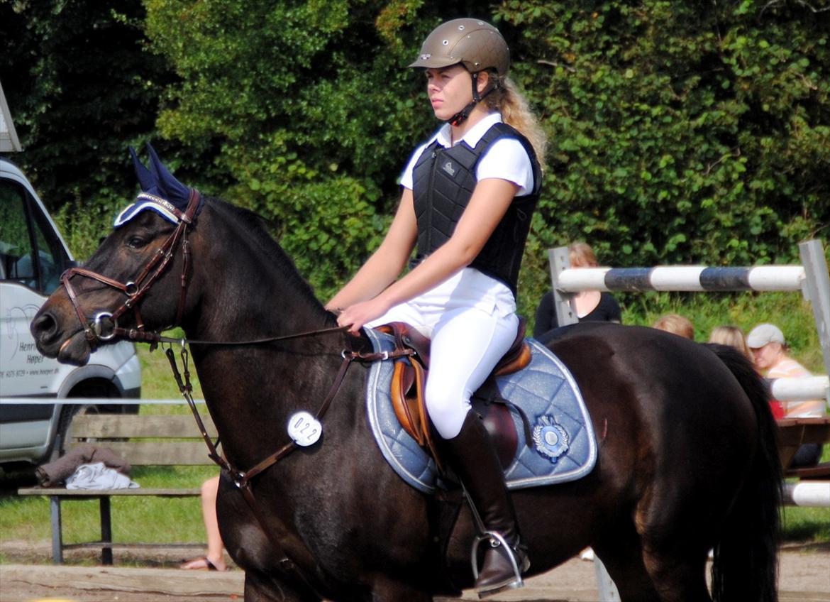 DSP Samara Spring pony billede 9