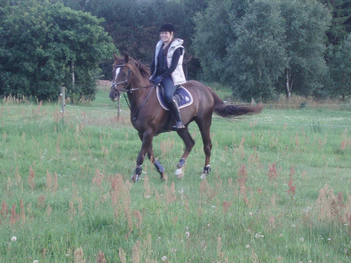 Anden særlig race Chutney - Første 'stævne' billede 2