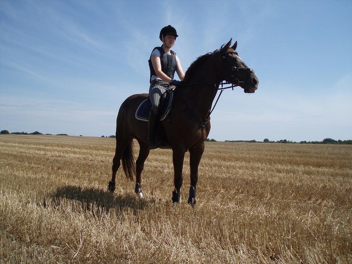 Anden særlig race Chutney - Stubmarken derhjemme. billede 5