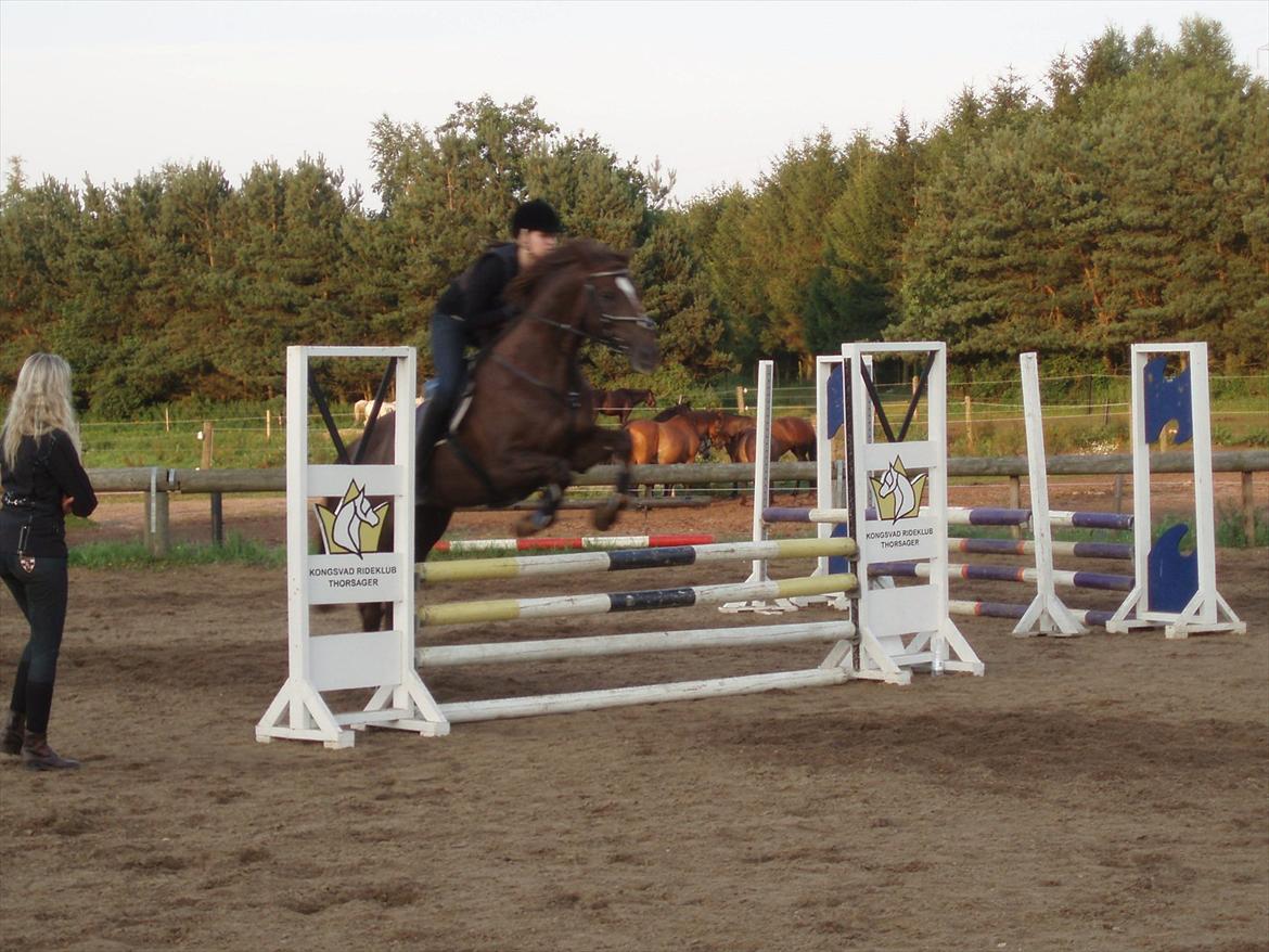 Anden særlig race Chutney - Første 'stævne', ved godt jeg ikke sidder ret pænt på ham. billede 6