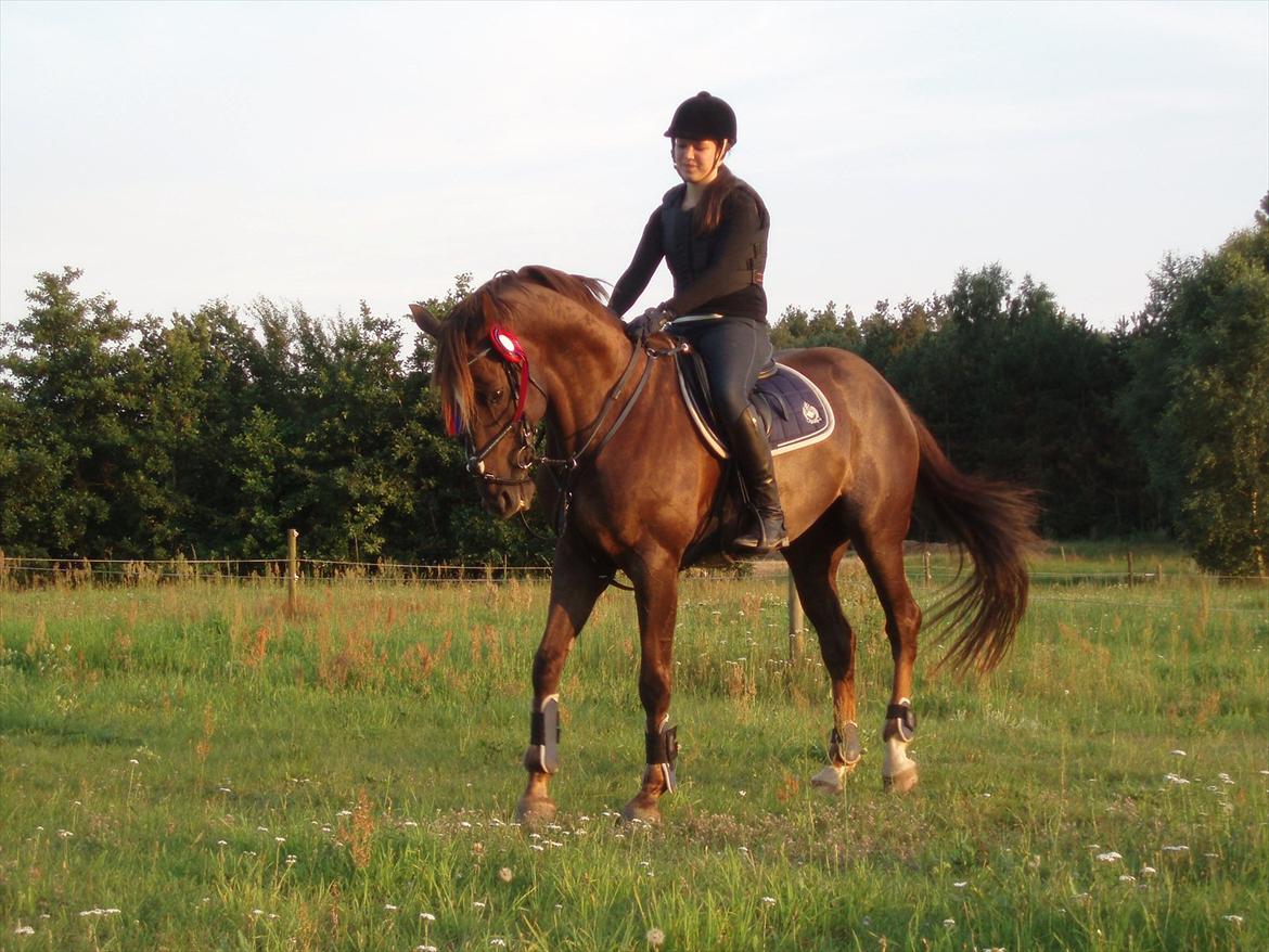 Anden særlig race Chutney - Første 'stævne' billede 7