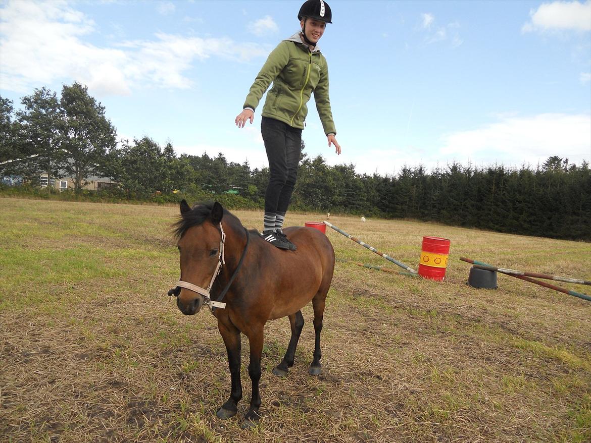 Dartmoor Gam.Dol Aiko ~ Solgt ~ - 15) Du var den første pony jeg lærte at stole 100 % på!!!♥ Foto: Mette (Aiko's gamle ejer) billede 15