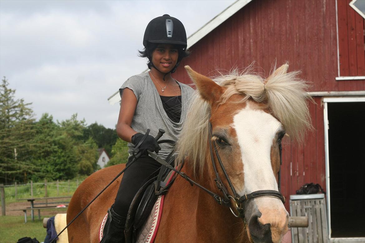 Haflinger Rianne - Ridelejr 2011

Sammen med Larika billede 13