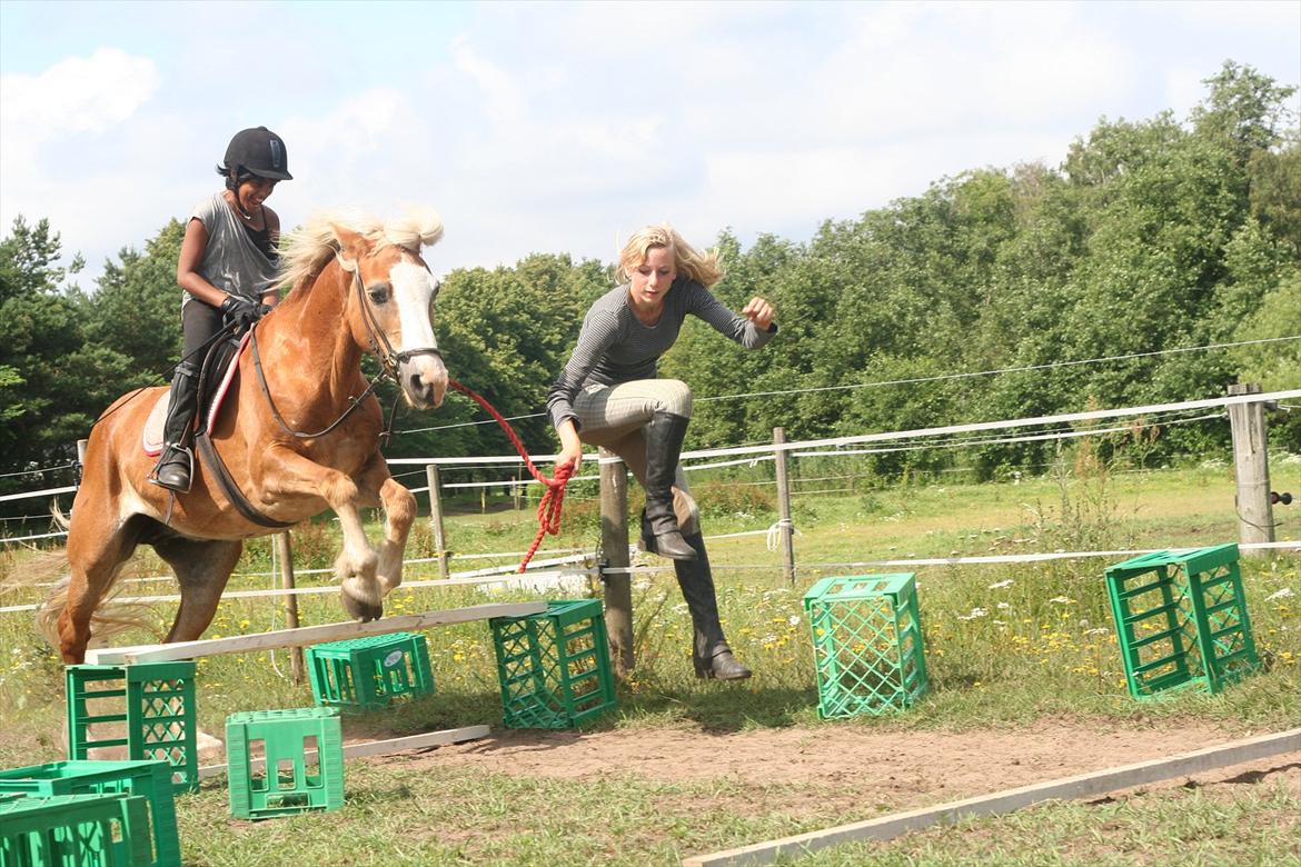 Haflinger Rianne - Larika springer Rianne og Michelle hjælper :D billede 20