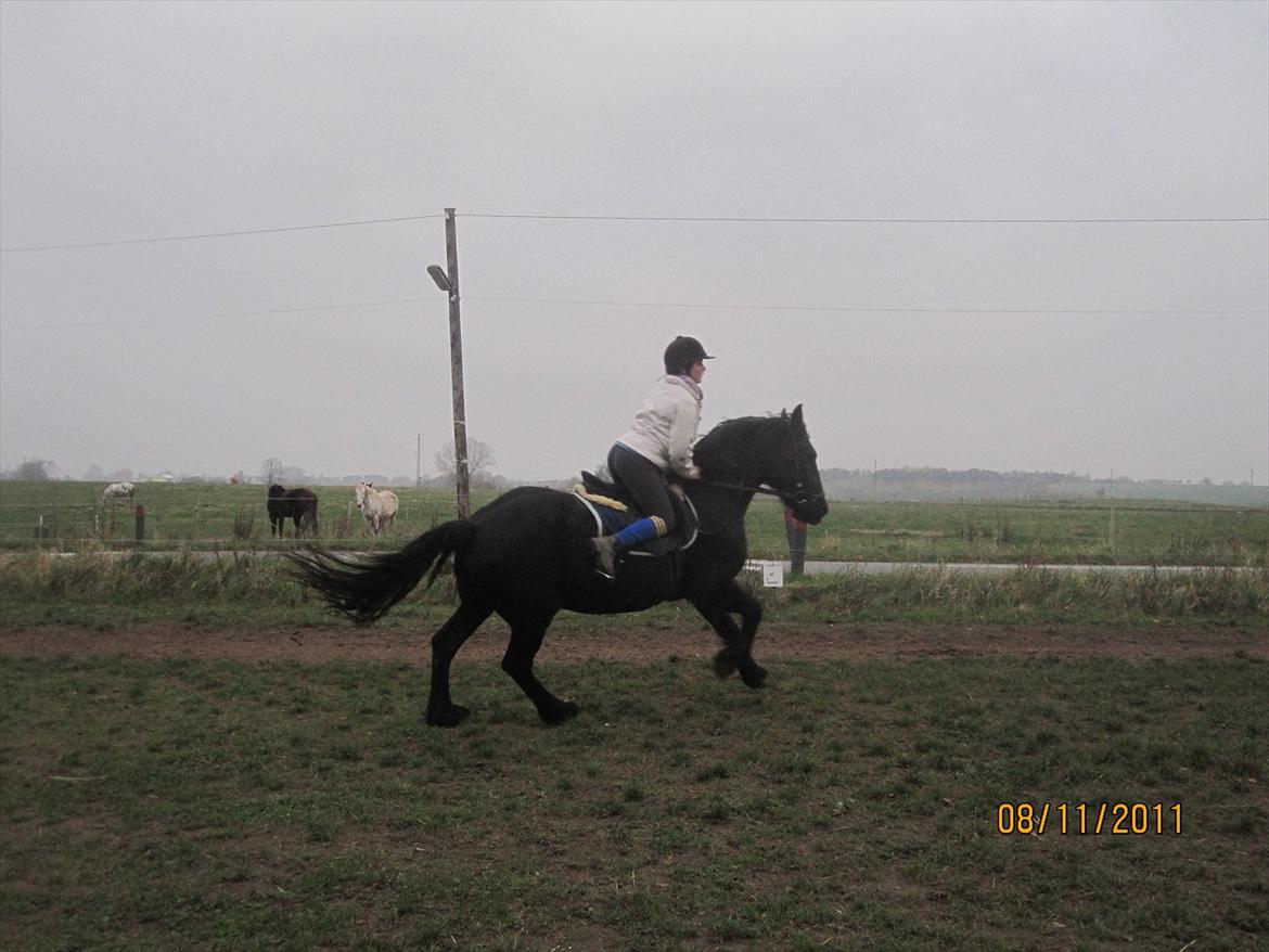 Frieser Sharmay/Flora billede 3