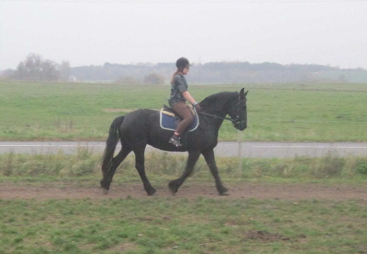 Frieser Sharmay/Flora billede 4