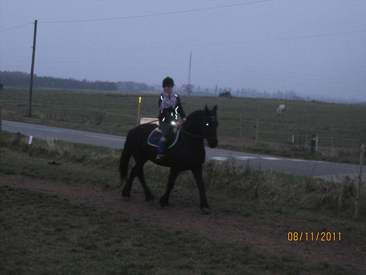 Frieser Sharmay/Flora billede 5