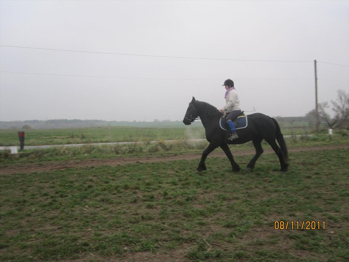 Frieser Sharmay/Flora billede 6