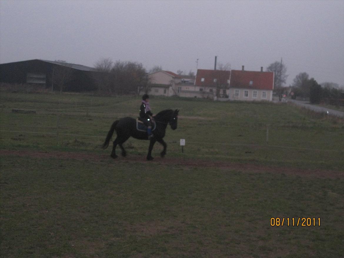 Frieser Sharmay/Flora billede 7