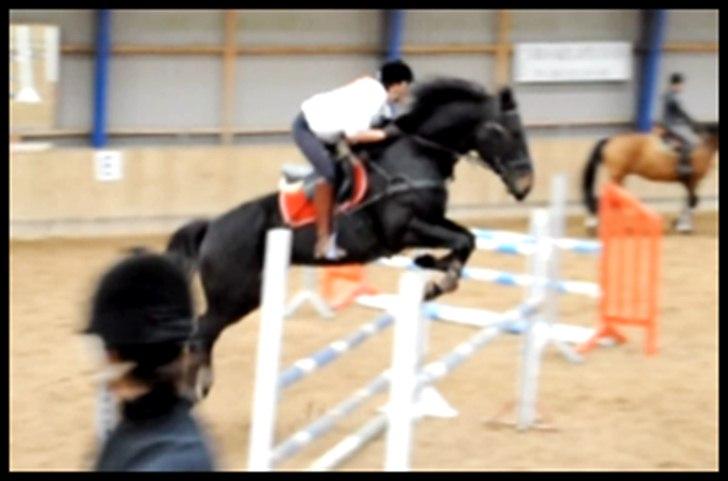 Oldenborg Moonlight - Michael Aabo kursus :) billede 2