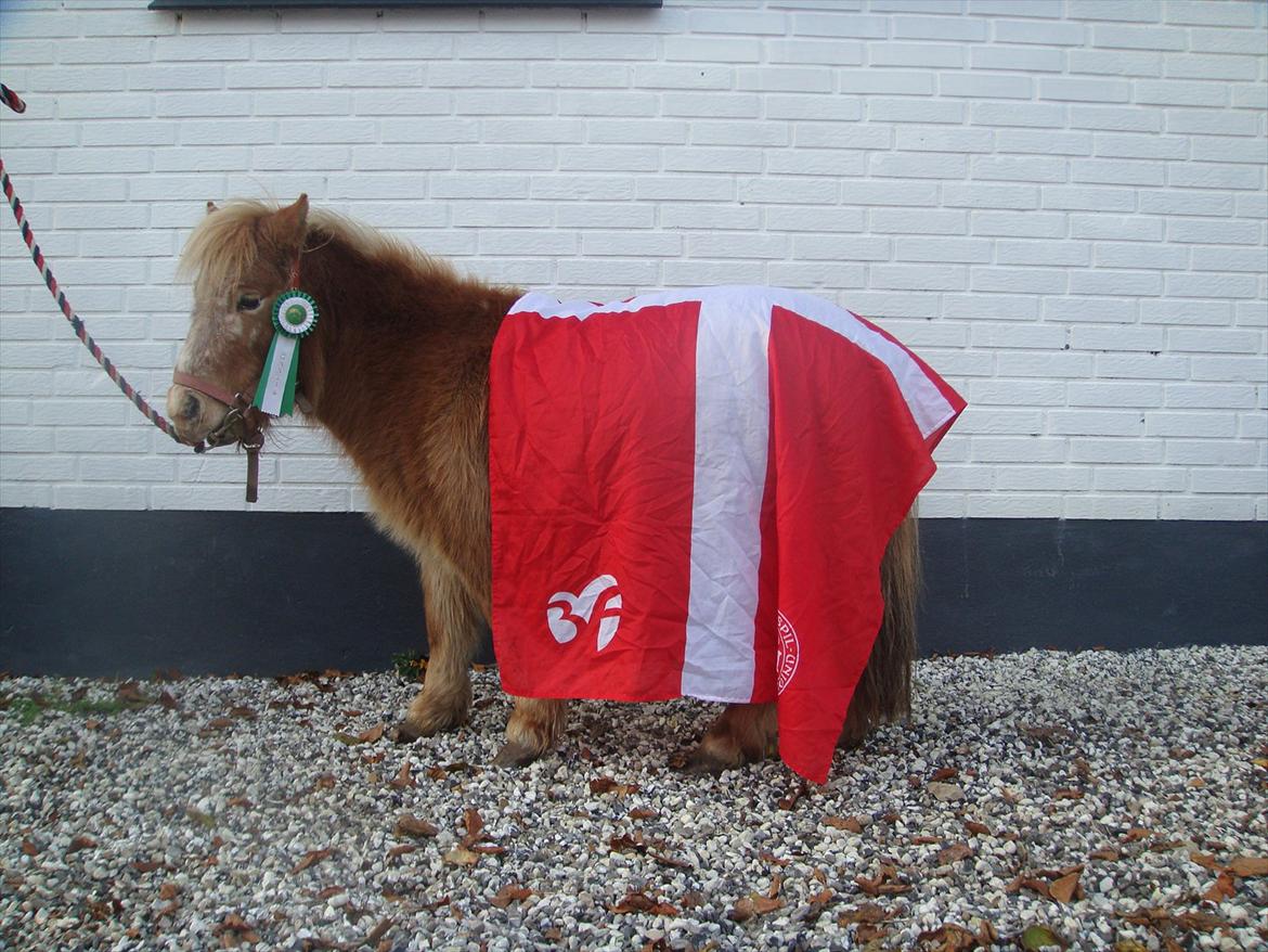 Miniature Thunder  billede 18